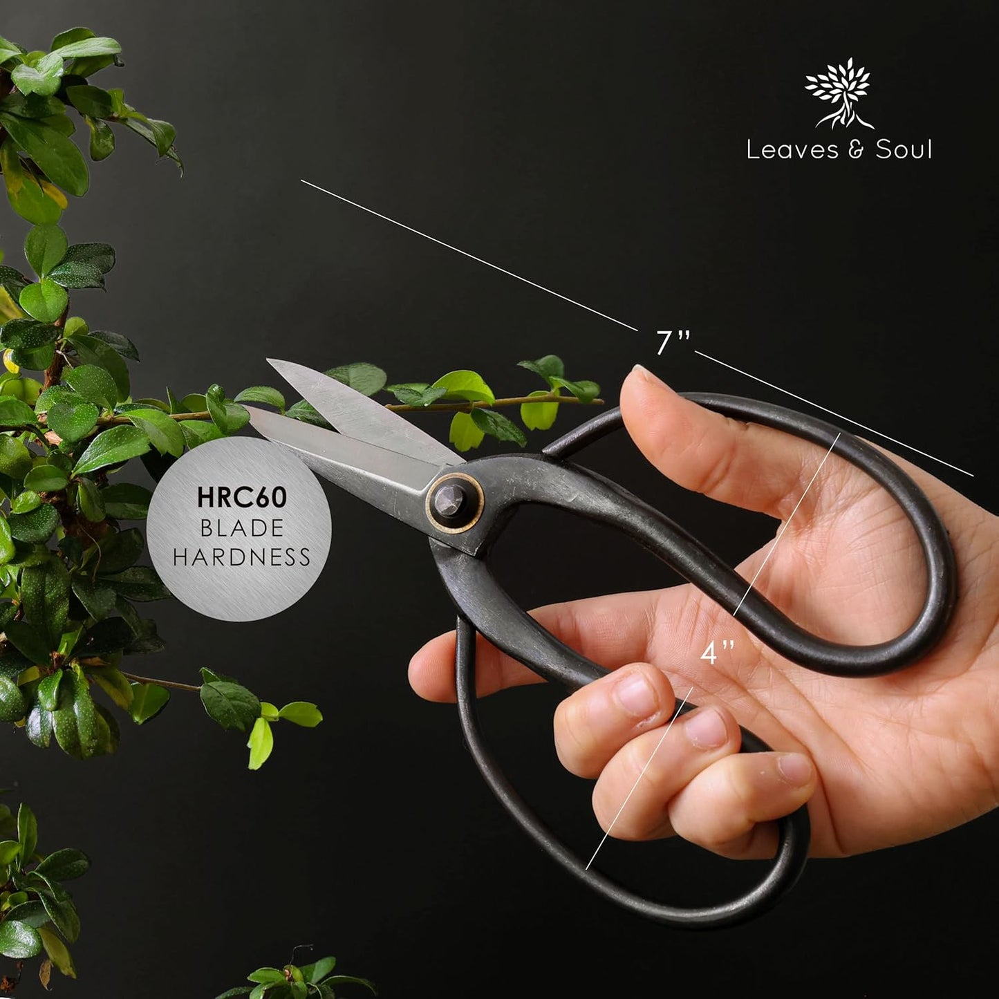 Professional Bonsai Butterfly Scissors | Pruning Shears for Trimming Plants | Japanese Gardening, Bonsai Tools | Garden Scissors