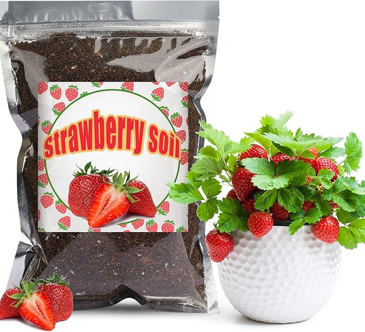 Organic Strawberry Soil Mix 2qt, Indoor Plants Potting Mix for All Potted Strawberry, Grow Healthy houseplants Indoors