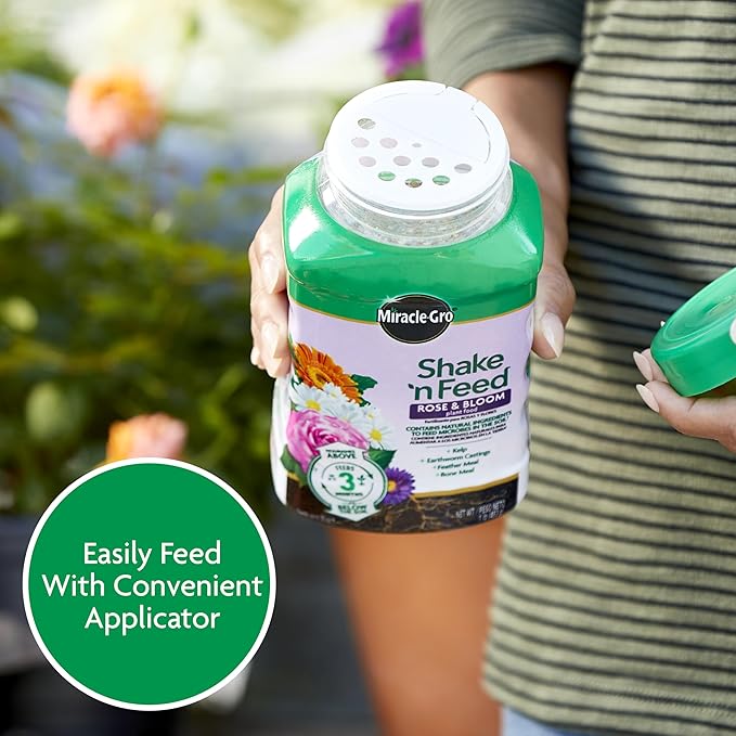 Miracle-Gro Shake 'n Feed Rose and Bloom Plant Food - Promotes More Blooms and Spectacular Colors (vs. Unfed Plants), Feeds Roses and Flowering Plants for up to 3 Months, 1 lb.