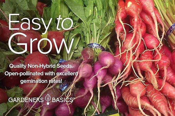 Gardeners Basics, Radish Seeds for Planting 5 Individual Packets - Watermelon, French Breakfast, Champion, Cherry Belle, White Icicle for Your Non GMO Heirloom Vegetable Garden