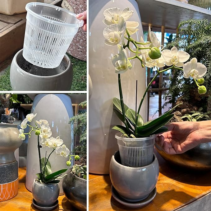 Orchid Pots, 12 Pack 4.5in Orchid Pots with Holes, Clear Orchid Pots for Repotting, Breathable Slotted Orchids Planter for Small and Medium Sized Orchids(12Pcs 4.5in)