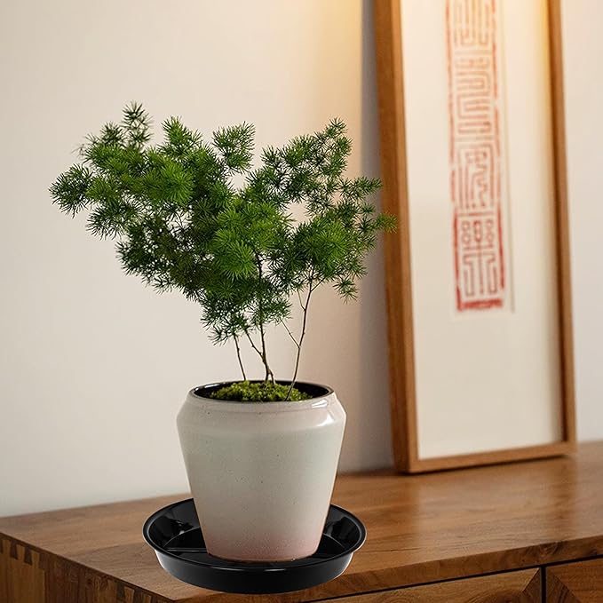 6 Pack Plant Saucer Drip Tray, 4 5 6 8 9 10 12 14 16 18 inch, Heavy Sturdy Plastic Planter Flower Pot Saucers for Indoor Outdoor Garden, Plant Water Drip Trays for pots Base (4", Black)