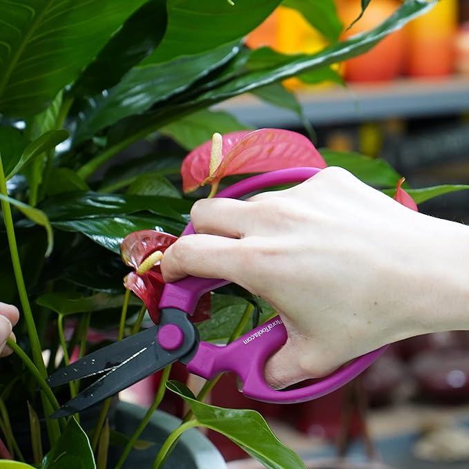 Meraki Flower Scissors/Garden Scissors with Black Carbon Steel Blades 7.6 inch, Color: Bougainvillea