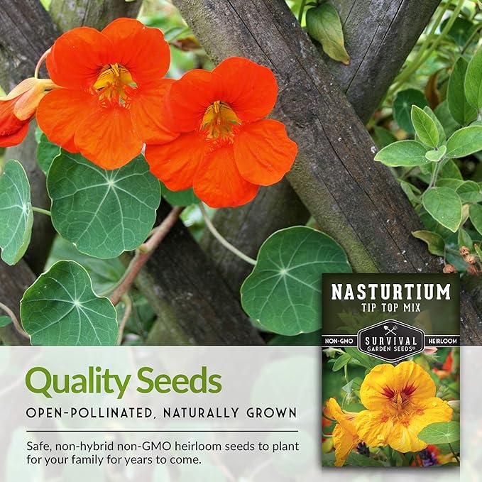 Survival Garden Seeds - Tip Top Mix Nasturtium Seeds - 5 Packs with Instructions to Plant and Grow Edible Flowers & Companion Plants in Your Home Vegetable Garden - Non-GMO Heirloom Variety