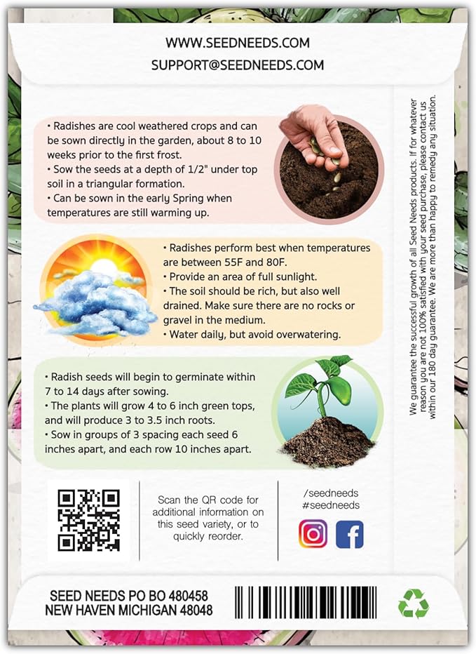 Seed Needs Watermelon Radish Seeds for Planting - Non-GMO, Heirloom & Untreated - Organically Grow a Home Grown Vegetable Garden - Cool Weather Crops (2 Packs)