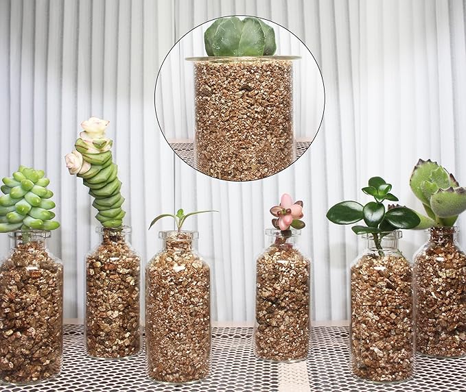 2QT Organic Vermiculite, Horticultural Vermiculite for Plants, Soil for Potted Plants, Vermiculite Coarse Hydroponic for Succulent Orchid Gardening Reptiles