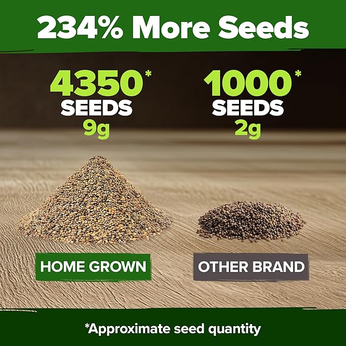 HOME GROWN Arugula Roquette Seeds 2 Pack (9g) 4350 Non-GMO Heirloom Arugula Seeds for Planting - Best for Outdoor Gardens, Providing Fast-Growing Greens for Salads and Sandwiches - Eruca vesicaria