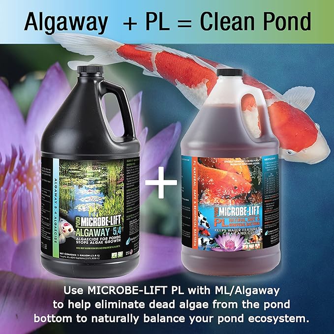 MICROBE-LIFT ALGA2.5 Algaway 5.4 Algae Control Treatment for Ponds and Water Gardens, Safe for Koi Fish, Goldfish, Plants, and Decorations, 2.5 Gallons