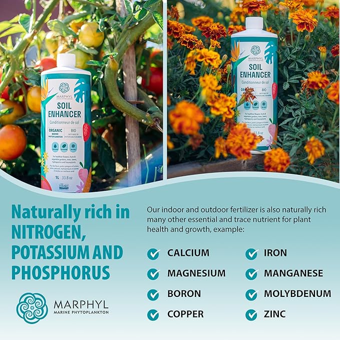 MARPHYL Plant Fertilizer Houseplants and Garden - Marine Phytoplankton Soil Improver and Hydroponic Fertilizer for Grasses, Bamboo, Succulents, & Vegetables - Organic Plant Fertilizer Liquid