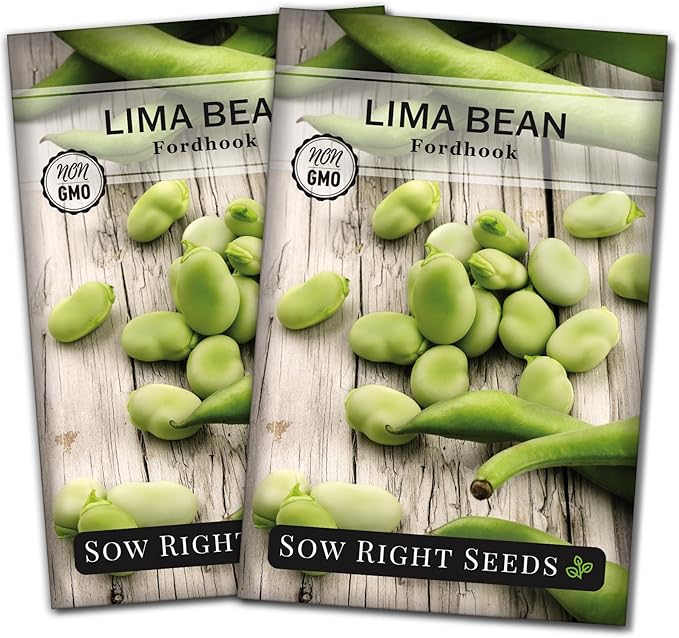 Sow Right Seeds - Fordhook Lima Bush Bean Seeds for Planting - Non-GMO Heirloom Packet with Instructions to Plant an Outdoor Home Vegetable Garden - Stringless Variety - Protein Packed Bush Bean (2)