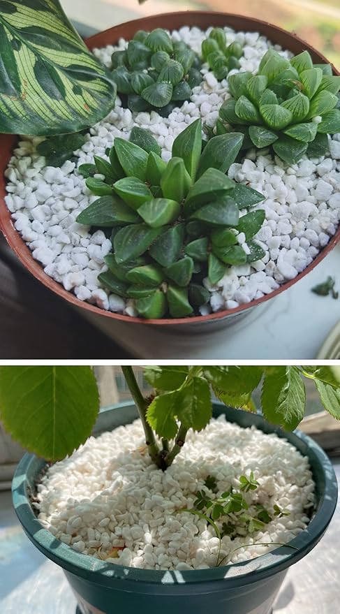 20QT Organic Perlite Horticultural Soil Amendment for Plants and Enhanced Drainage Enhanced