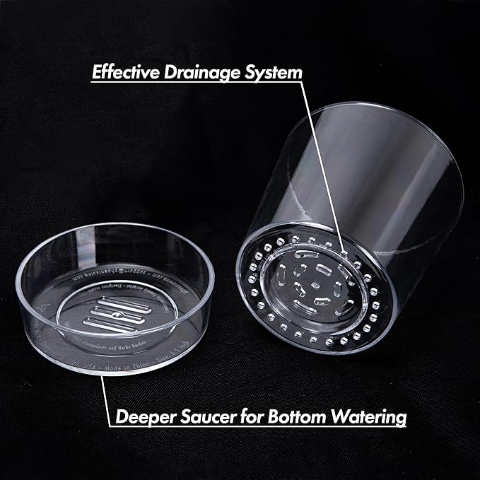 Phoenix Vine 6.5 InchClear Acrylic Planter Pot with Tray, Orchid Pot with Drainage Holes, Deep Saucer for Bottom Watering, Transparent Containers for Indoor Plants, Herbs, Set of 2, 91-A-F-2