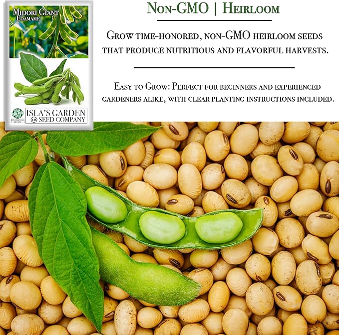 Midori Giant Edamame Seeds for Planting, 25+ Heirloom Seeds Per Packet, (Isla's Garden Seeds), Non GMO Seeds, Botanical Name: Glycine max, Great Home Garden Gift