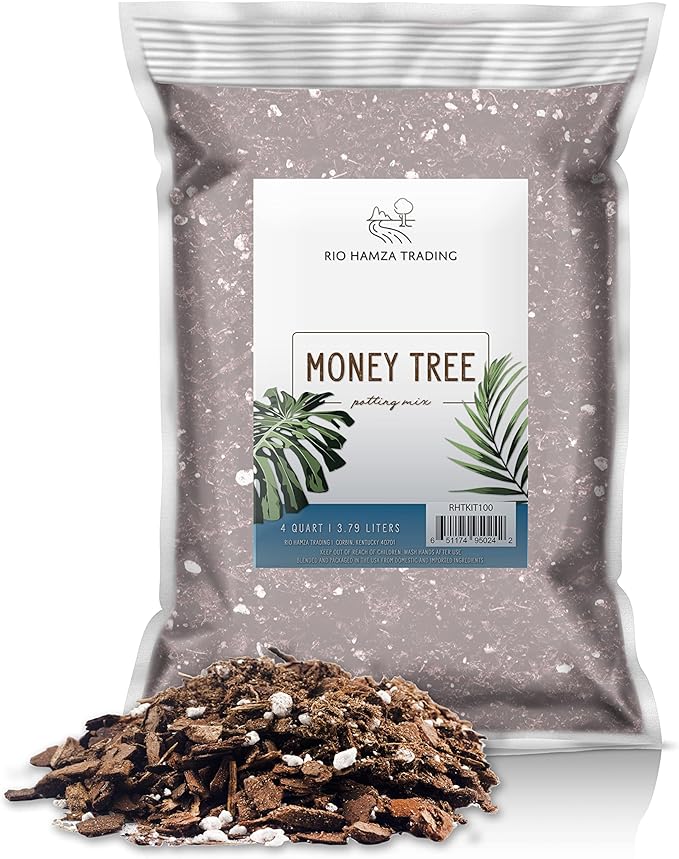 Money Tree Soil (4 Quarts), Soil Mix for Planting or Repotting Money Tree, Soil Blended to Properly Grow Money Tree Plants