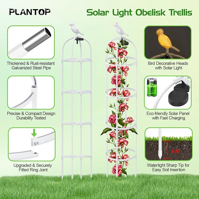 2 Pack Garden Obelisk Trellis with Solar Light, 6 Ft Trellis for Climbing Plants Outdoor Rose Bush Round Trellis for Pots, Rustproof PE Coated Metal Plant Support for Flowers Vine Indoor