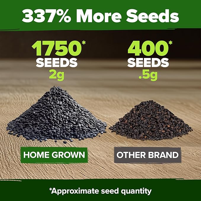 HOME GROWN Genovese Basil Seeds Pack - 1750 High Germination, Non-GMO Heirloom Seeds (Ocimum basilicum) - Perfect Herb Seeds for Planting Indoor & Outdoor Gardening - Grow Basil Plant for Culinary Use