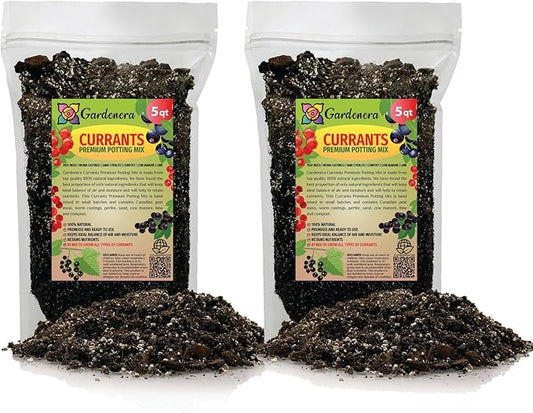 Premium Currant Plant Potting Soil Mix - Optimal Nutrient-Rich Blend for Thriving and Juicy Currants - 10 Quart