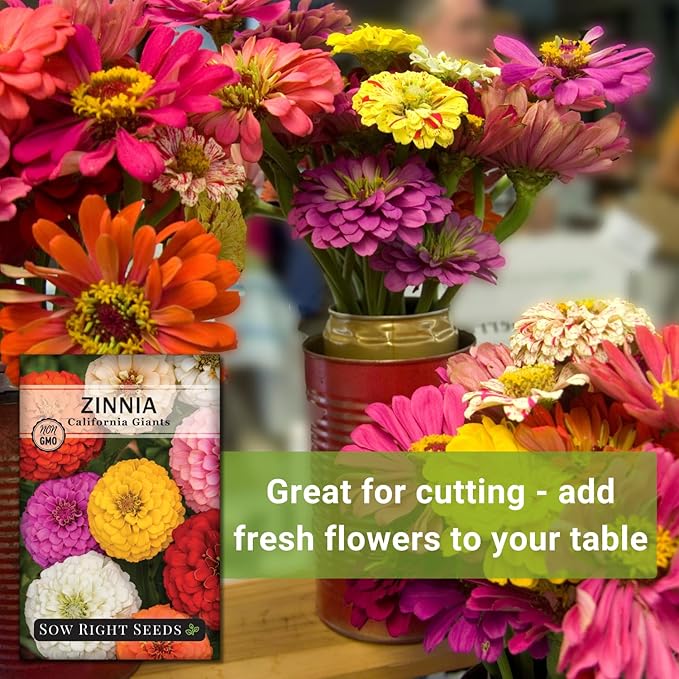 Sow Right Seeds - California Giants Mix Zinnia Seeds for Planting - Non-GMO Heirloom Packet to Grow Your Flower Garden - Attract Bees and Butterflies - Great to Cut and Come Again - Summer Annual (1)