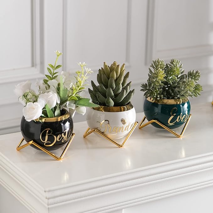 PeraBella Grandma Gifts, Gifts for Grandma Birthday Gifts, Thoughtful Gifts for Grandma, Grandmother Gifts Ideas - 3 Succulent Pots
