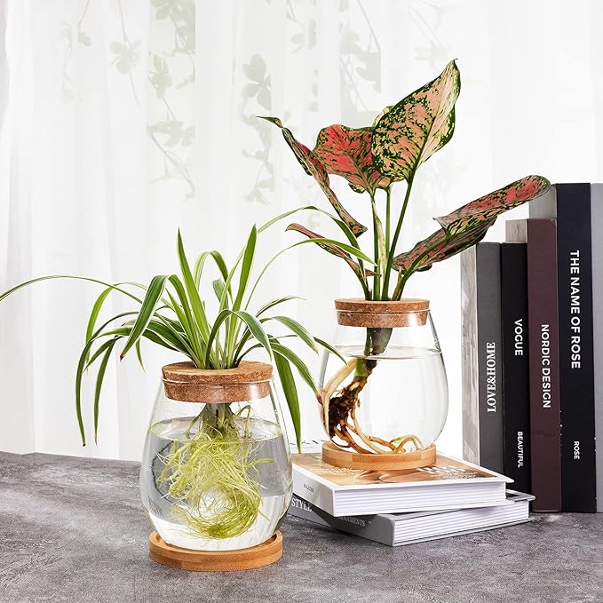 Plants Propagation Station - 2Pcs Desktop Plant Terrarium Glass Hydroponic Vases, Water Plant Propagating Jars, Gardening Gifts for Women Mom Plant Lovers (Water Drop Shape, Separated Tray Style)