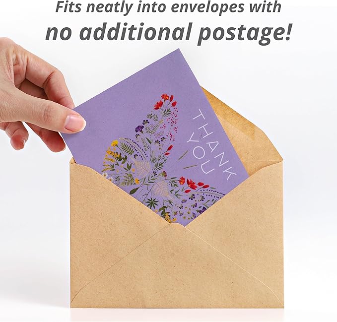Bentley Seed Co. Thank You Packet - Butterfly Pollinator Mix - 25 Seed Packets - Perfect Eco-Friendly Thank You Gift - Non GMO Seeds, Purple