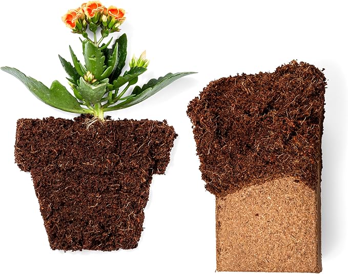 Coco Bliss Coco Coir Bricks (30-Pack, 650gm Bricks) - Organic Coco Coir for Plants - OMRI-Listed Coconut Coir for Plants - Coconut Coir Bricks - Coco Peat for Plants, Garden Soil, & Organic Mulch