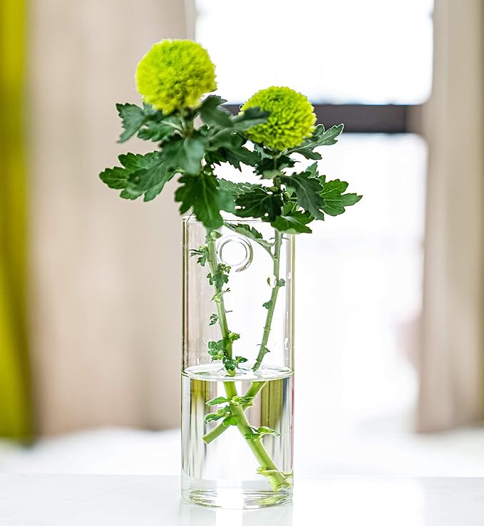 Kingbuy Glass Planter Terrarium Plant Propagation Station Wall Hanging for Home Office Decor, Medium Cylinder, 2 Pack