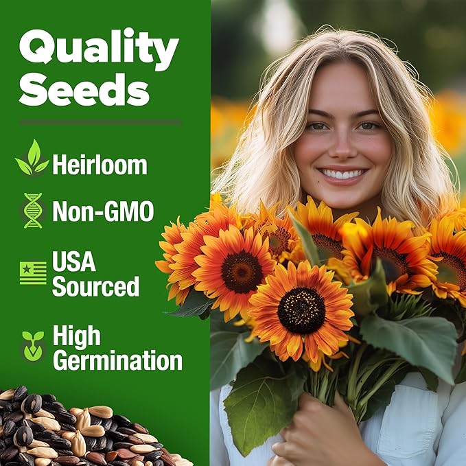 HOME GROWN Autumn Beauty Sunflower Seeds to Plant - 40 Heirloom and Non-GMO Sunflower Seeds for Planting - Blooms for Pollinator Support, and Ornamental Flower Garden (Helianthus annuus)