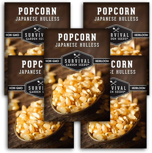 Survival Garden Seeds - Japanese Hulless Popcorn Seed for Planting - 5 Packs with Instructions to Plant & Grow Delicious Kernel Popcorn in Your Home Vegetable Garden - Non-GMO Heirloom Variety Seed