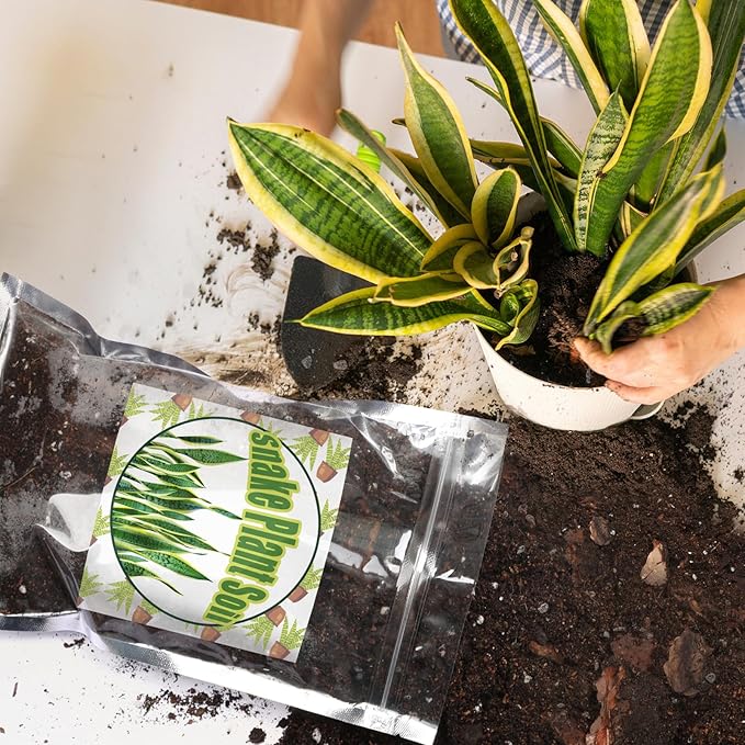 Premium Snake Plant Soil Mix 2qt, Indoor Plants Potting Mix for All Potted Snake Plants, Promote Healthy Growth and Easy Care