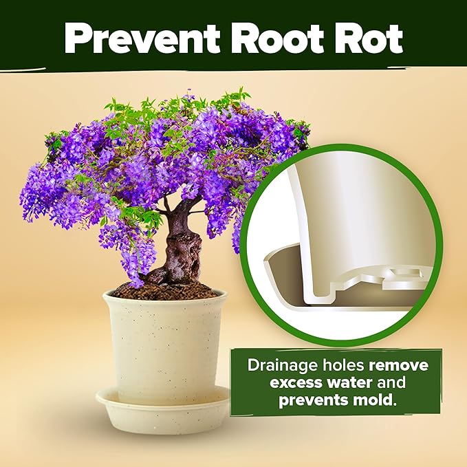 HOME GROWN Bonsai Tree Kit, Grow Your Own: Premium 4 Bonsai Trees Starter Kit | Unique Japanese Gardening Gift for Moms, Women, Men, Beginners & Gardeners | Creative Crafts for Adults BK1-2nd-MF