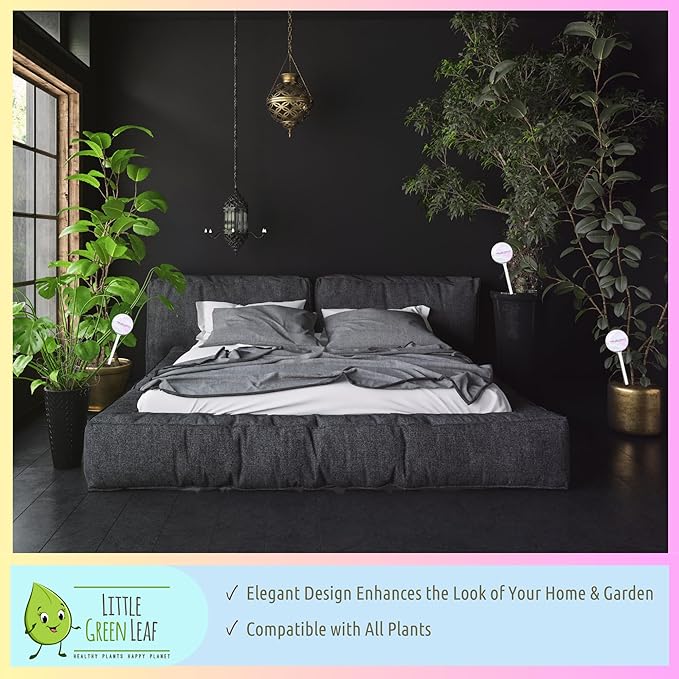 LGL Plant Watering Globes - 2 Pieces Clear Rainbow. Decorative Self Watering Planter Inserts. Hand-Blown Durable Glass. Ideal Plant Lover Gift (2pk Medium)