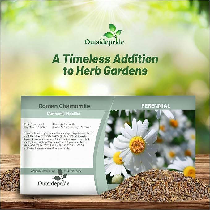 Outsidepride 25000 Seeds Perennial Roman Chamomile Herb Garden Seed for Planting