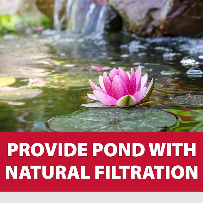 The Pond Guy Planting Bag & Soil Kit for Outdoor Water Gardens, Aquatic Flower Supplies, Pot & Grow Lily, Lotus & Bog Plants, Small Plant Bag & Soil