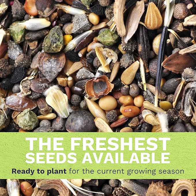 Monarch Butterfly Rescue Mix - Large 1 Ounce Packet - 11,000 Flower Seeds for Planting - Wildflower Mix