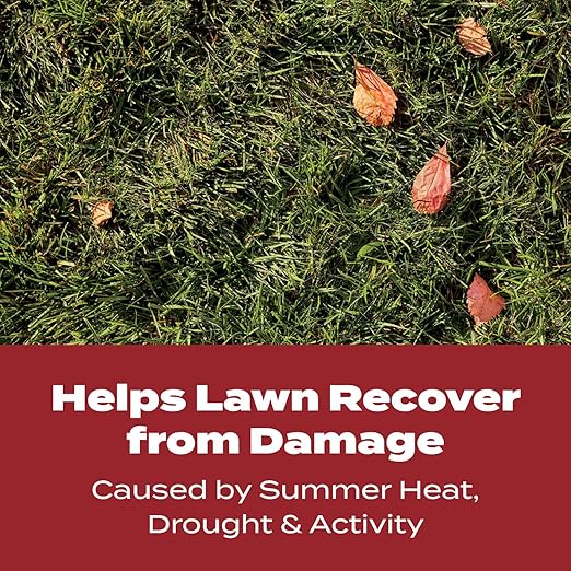 Scotts Turf Builder WinterGuard Fall Lawn Fertilizer for All Grass Types, 4,000 sq. ft., 10 lbs.