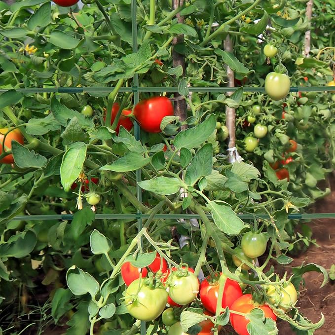 Xiny Tool 126pcs Garden Stakes Set, Includes 50Pack 17" Garden Poles, Tomato Climbing Plant Trellis Plant Climbing Frame for Vegetables Cucumber Fences Beans Outdoor Gardening (Green, 25 Pack)