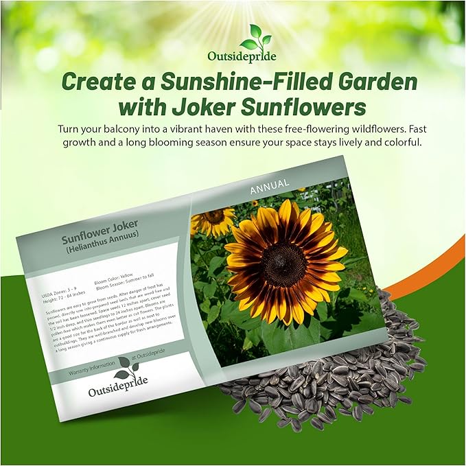Outsidepride 100 Seeds Helianthus Annuus Joker Sunflower Seeds for Planting