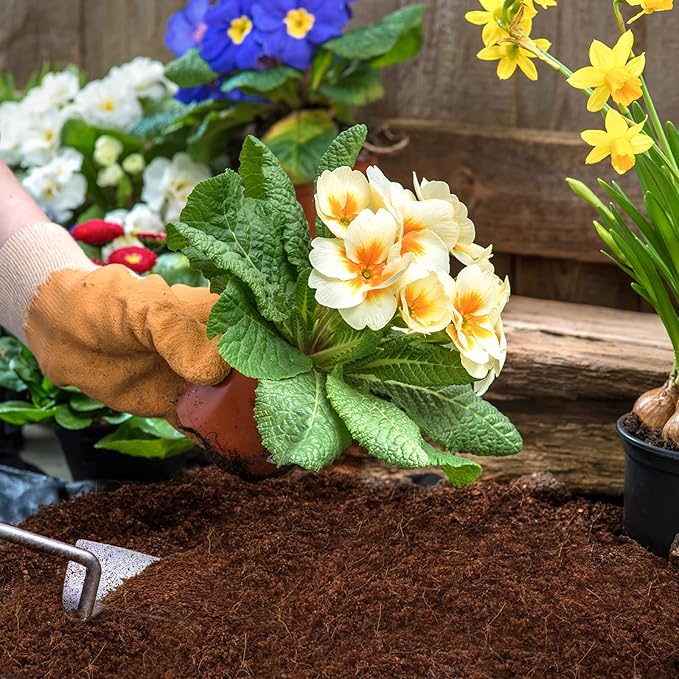 ZeeDix 150pcs(30mm) Compressed Coco Coir Fiber Potting Soil- Coir Medium, Coconut Soil for Indoors or Outdoors, Bonsai, Herbs, Plants, Flowers and Vegetables