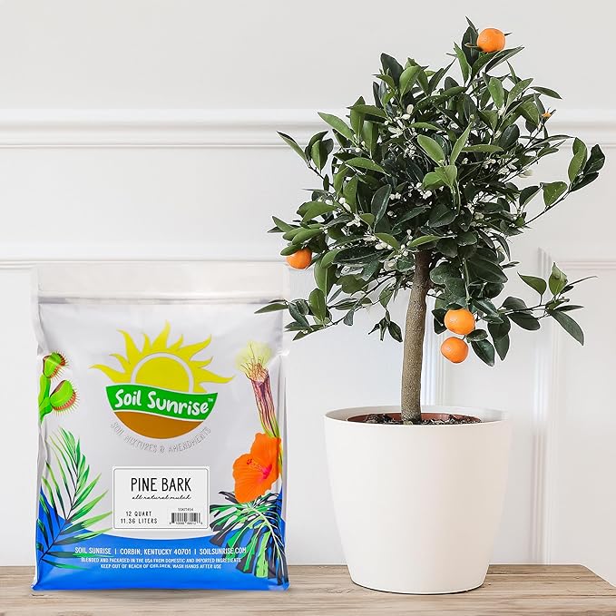 100% Natural Pine Bark Mulch Nuggets (12 Quarts), Small Mulch Chips for Indoor/Outdoor Container Gardening, Ideal for Soil Supplement, Houseplant Mulch, and Terrariums