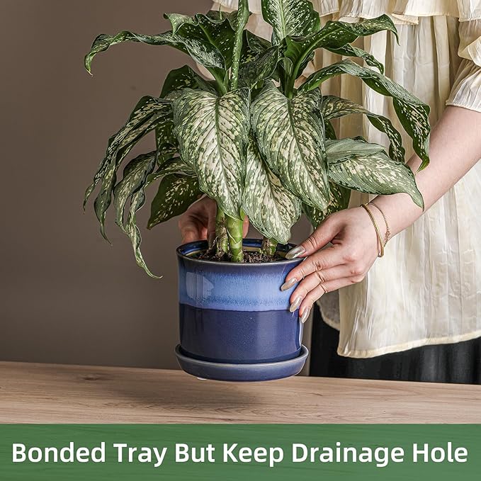 6 Inch Plant Pot: Ceramic Planter with Drainage Hole & Saucer for Indoor Outdoor Plants - Flowerpot with Bonded Tray for Home Office - Blue Reactive Glaze