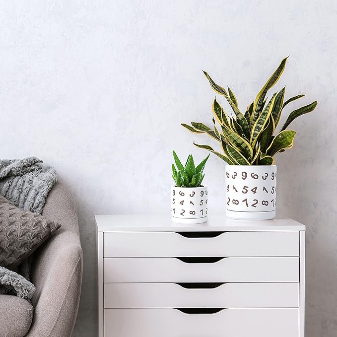 D'vine Dev Set of 2 Ceramic Planter Pots with Drainage Hole and Saucer, 4.5 Inch 6 Inch Plant Pots for Plants Indoor Houseplants, White, 99-B-1