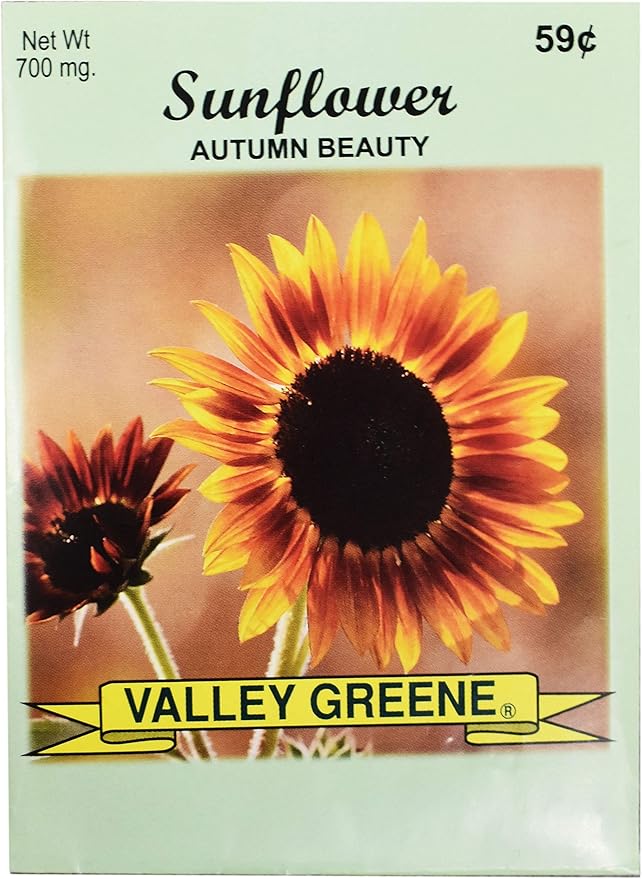 Black Duck Brand Set of 25 Autumn Beauty Sunflower Seed Packets! Flower Seeds in Bulk - Great for Creating The Garden of Your Dreams! (25, Autumn Beauty Sunflower)