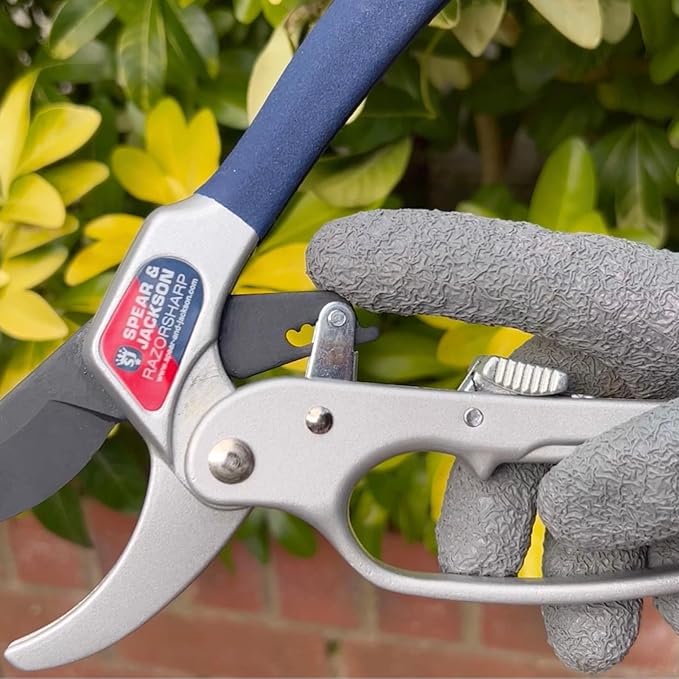 Spear & Jackson 6358RS Razorsharp Ratchet Anvil Pruners / Pruning Shears with Loop Handle. Clean & Easy Cutting. Cuts Thick Branches