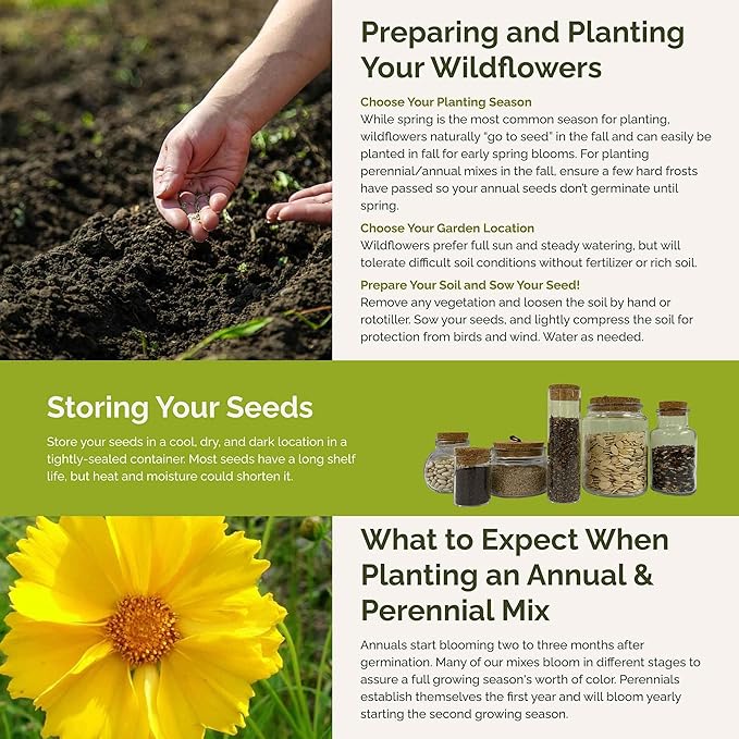 Eden Brothers Wisconsin Wildflower Mixed Seeds for Planting, 1/4 lb, 120,000+ Seeds with Sunflower, Aster | Attracts Pollinators, Plant in Spring or Fall, Zones