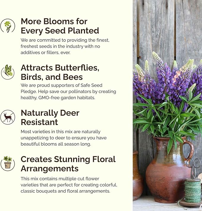 Eden Brothers Midwest All Perennial Wildflower Mixed Seeds for Planting, 1 lb, 480,000+ Seeds with Hyssop, Shasta Daisy | Attracts Pollinators, Plant in Spring or Fall, Zones 3, 4, 5, 6, 7, 8, 9, 10