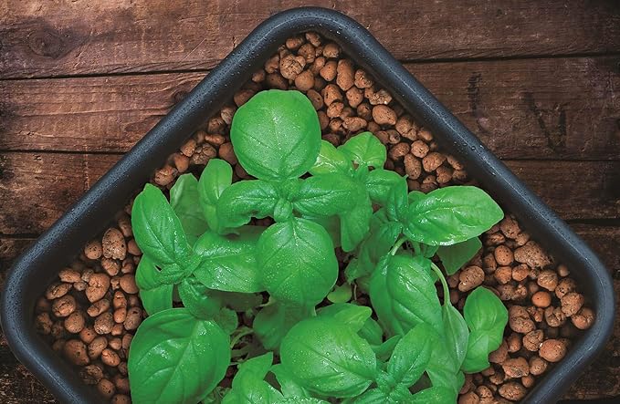 GROW!T GMC40l - 4mm-16mm Clay Pebbles, Brown, (40 Liter Bag) - Made from 100% Natural Clay, Can be used for Drainage, Decoration, Aquaponics, Hydroponics and Other Gardening Essentials