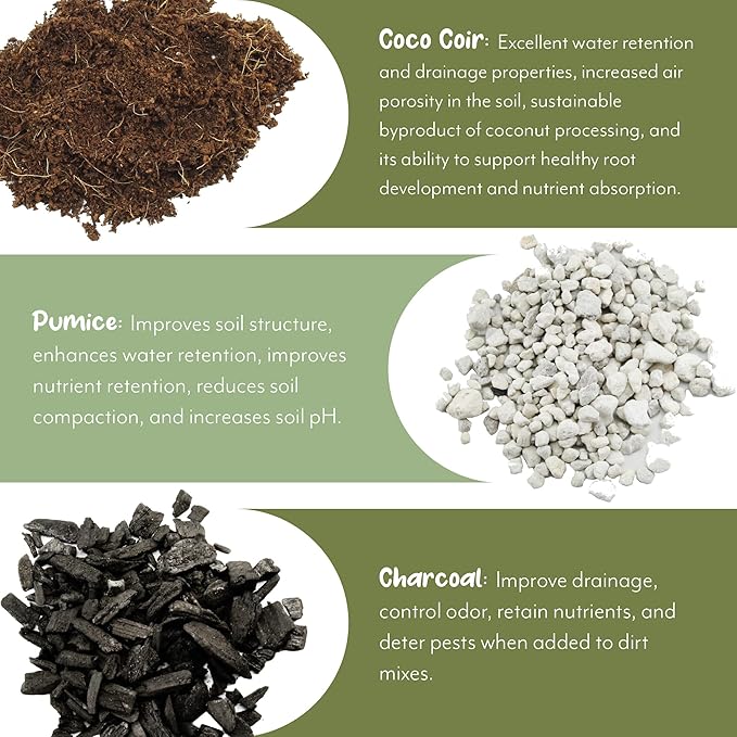 Terrarium Potting Soil Mix (8 Quarts), w/Blended Filtering Charcoal Custom Made for Terrariums