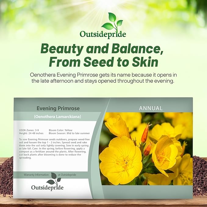 Outsidepride 5000 Seeds Annual Oenothera Lamarckiana Evening Primrose Wild Flower Seeds for Planting