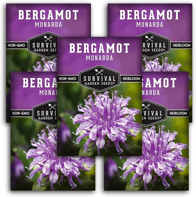 Survival Garden Seeds - Bergamot Herb (Bee Balm) Seed for Planting - 5 Packs with Instructions to Plant and Grow Lavender Monarda Wildflowers in Your Home Vegetable Garden - Non-GMO Heirloom Variety